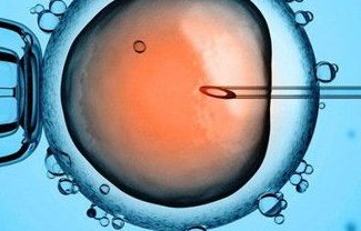 在南昌做试管想要双胎能初次成功吗，试管双胎的成功率及费用