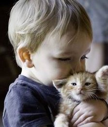 衡水地区有哪些私立的机构可以做试管技术？怀孕50几天第二次查hcg比一次查的低是生化了吗？