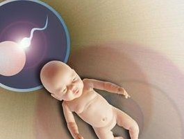 9月推荐：泰国三代试管婴儿医院哪家好？成功率是关键！